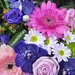 Flori de flori - Aranjamente florale